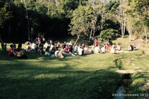 Krishna West Festival 2017